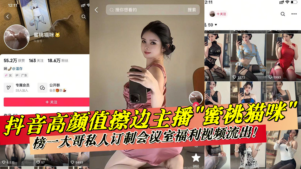 抖音高颜值擦边主播【蜜桃猫咪】榜一大哥私人订制会议室福利视频流出!