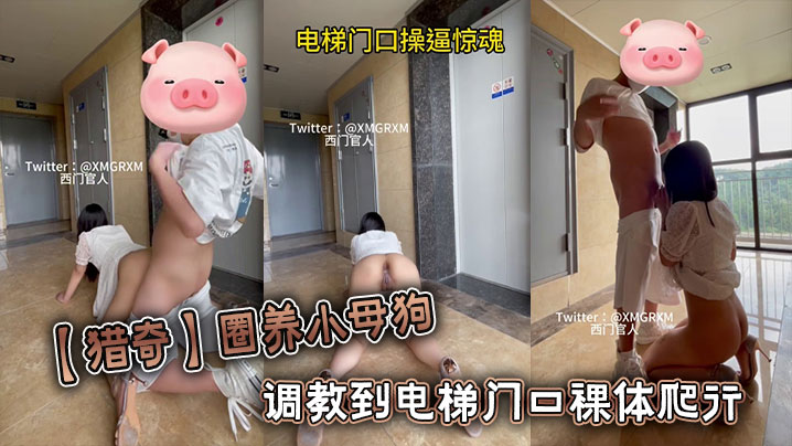 【猎奇】圈养小母狗调教到电梯门口裸体爬行