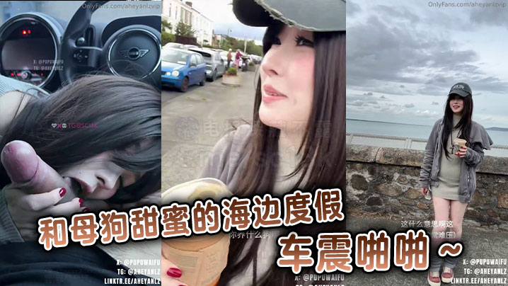 和母狗甜蜜的海边度假,车震啪啪~