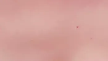 【台湾宝贝】丰乳肥臀反差姐花妹 双头龙自慰互插互舔双喷超刺激 (13)