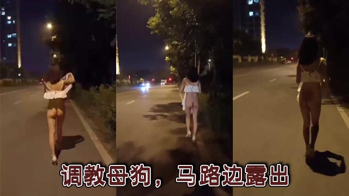 调教母狗,马路边露出