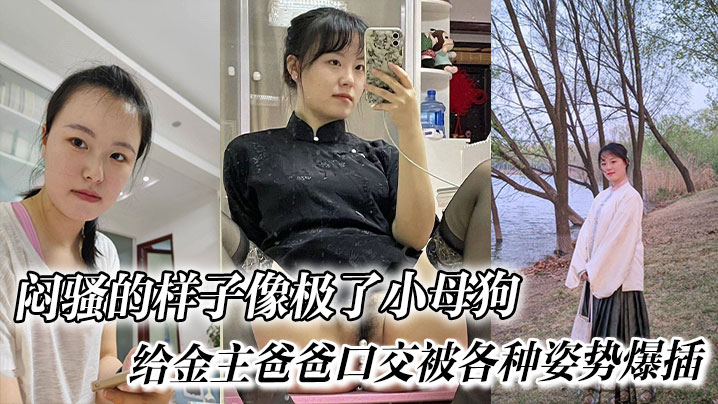闷骚的样子像极了小母狗, 给金主爸爸口交被各种姿势爆插