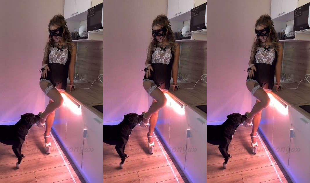 小黑狗内射情趣女主人(更多高质量片子,狗猪马系列需要看主页简介或者私信)#肛塞#白虎#毒龙#情趣内衣#骚逼#人妻#挑逗#舔逼#蝴蝶结#狗狗